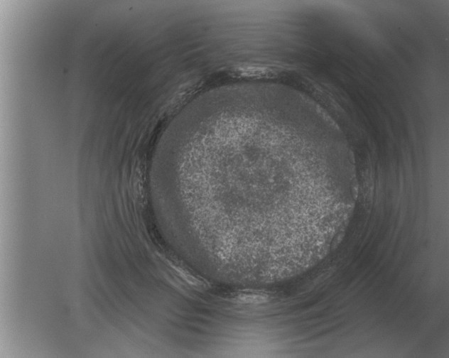 X0000080180653200612302246