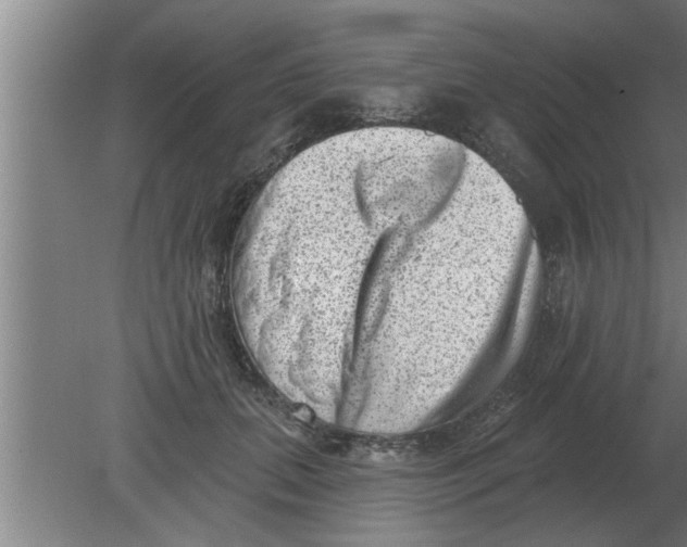 X0000080180655200612302246