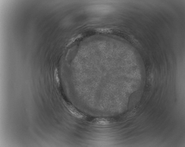 X0000080180658200612302246