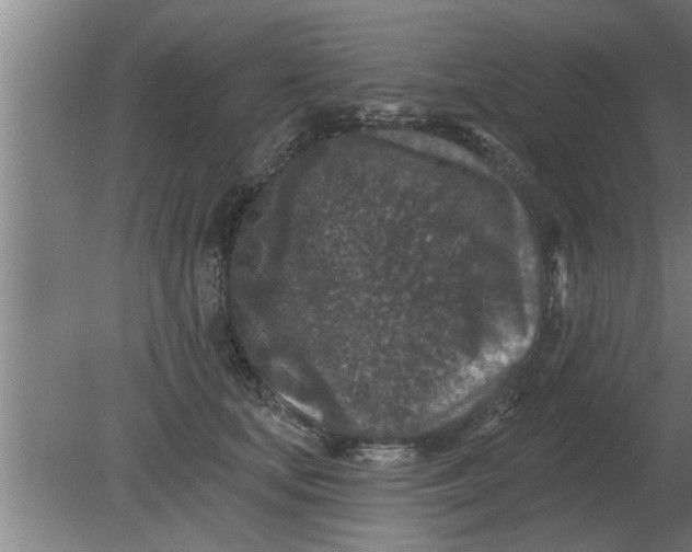 X0000080180659200612302246