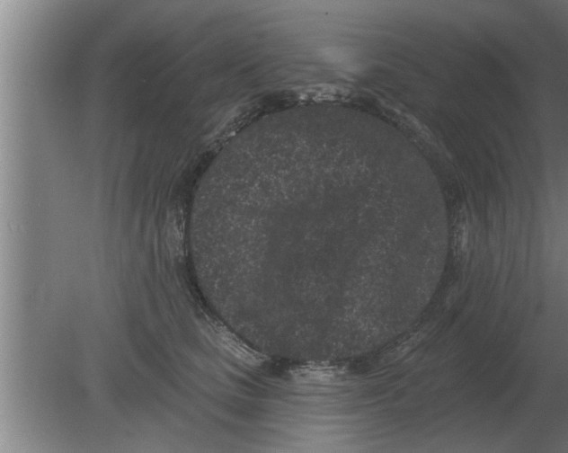 X0000080180661200612302246