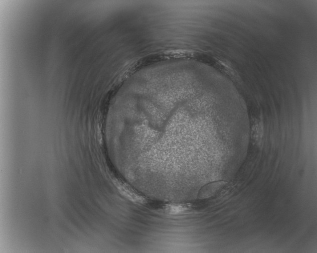 X0000080180662200612302246