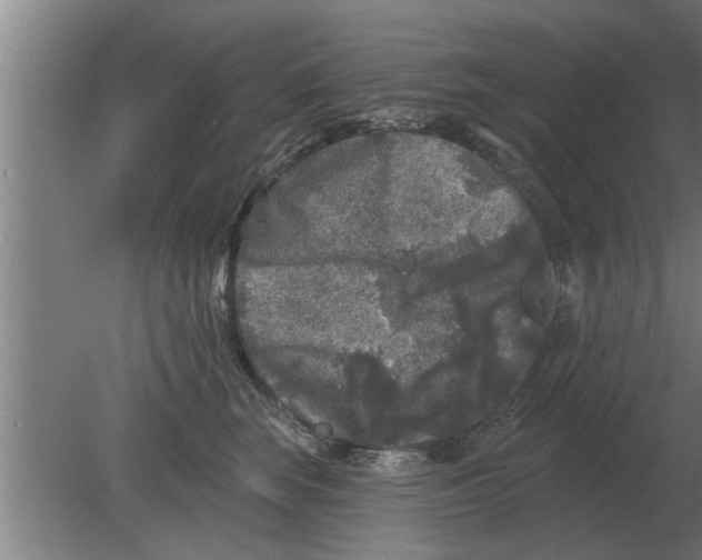 X0000080180663200612302246