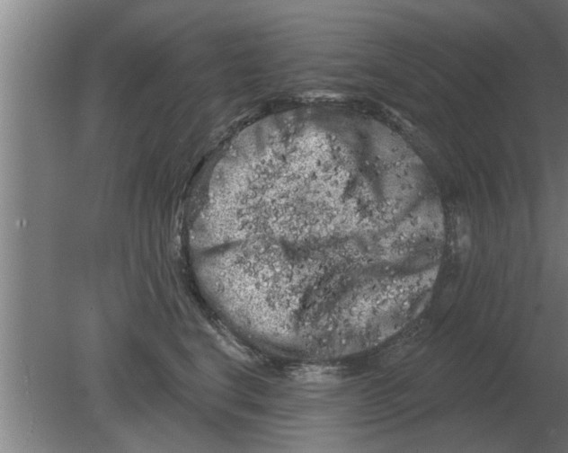 X0000080180664200612302246