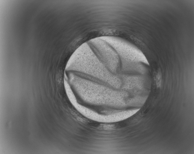 X0000080180665200612302246