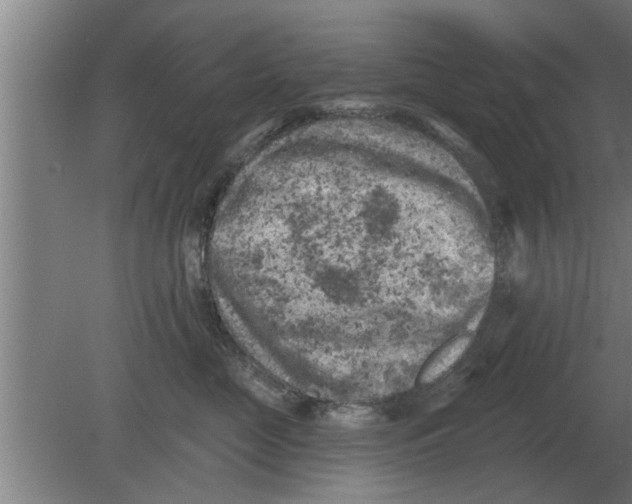 X0000080180669200612302246