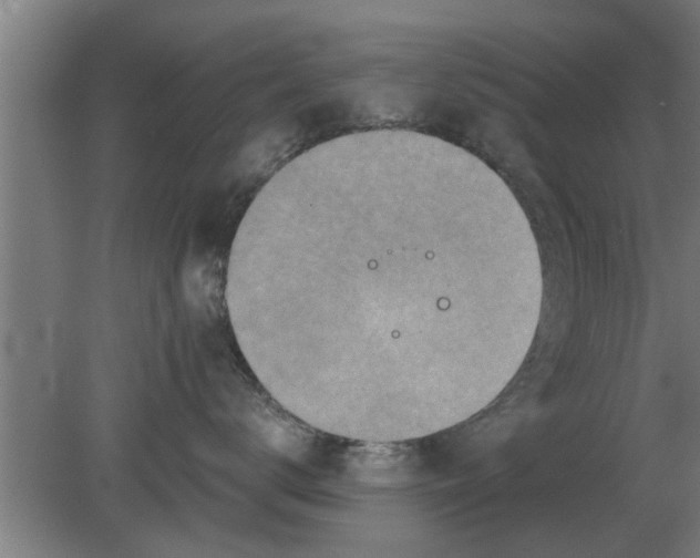 X0000080180672200612302247