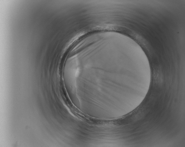 X0000080180674200612302246