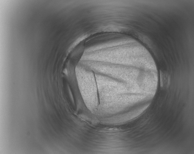 X0000080180675200612302246