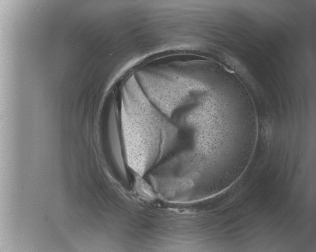 X0000080180676200612302246