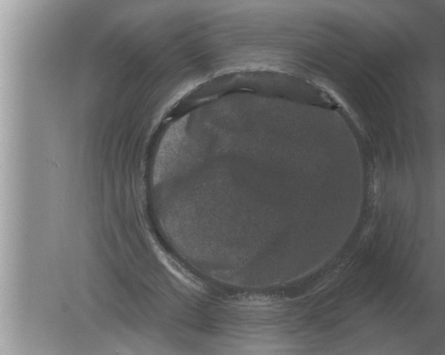 X0000080180677200612302246