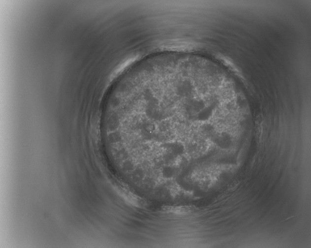 X0000080180679200612302246