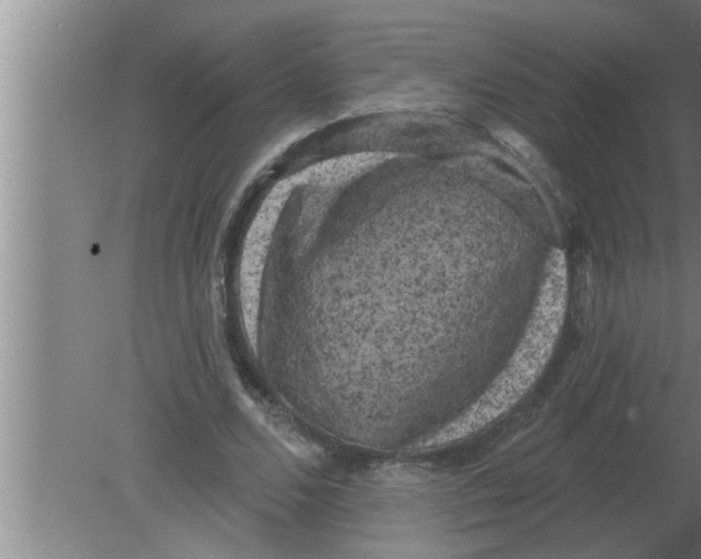 X0000080180680200612302246