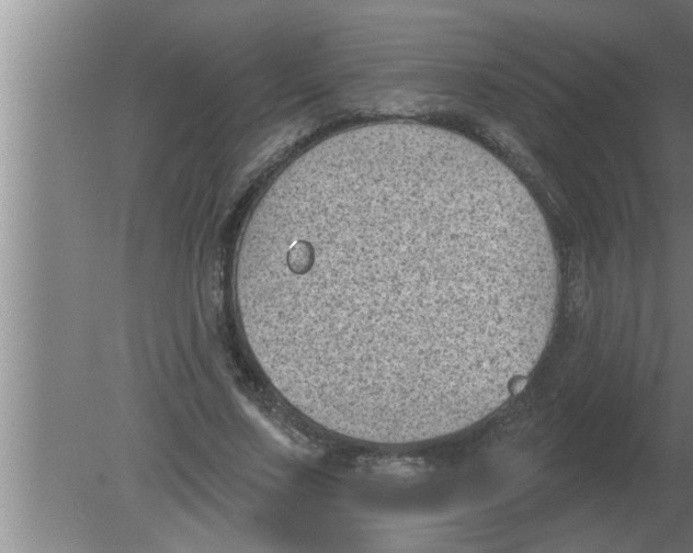 X0000080180683200612302246