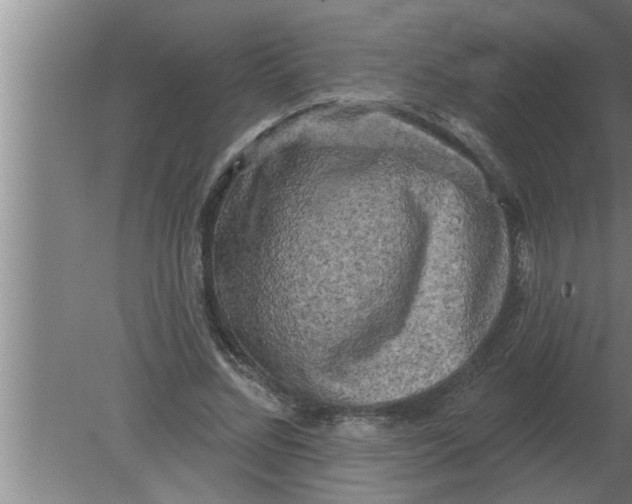 X0000080180684200612302246