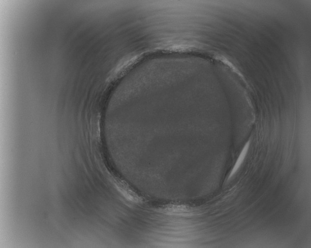 X0000080180685200612302246