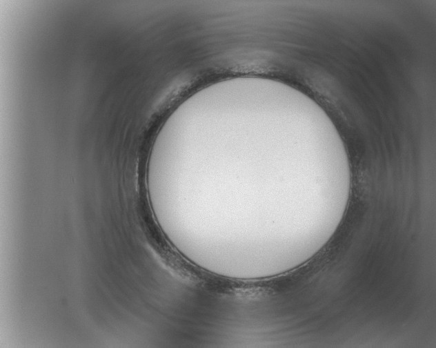 X0000080180686200612302245