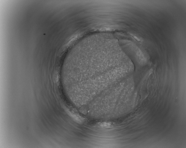 X0000080180687200612302245