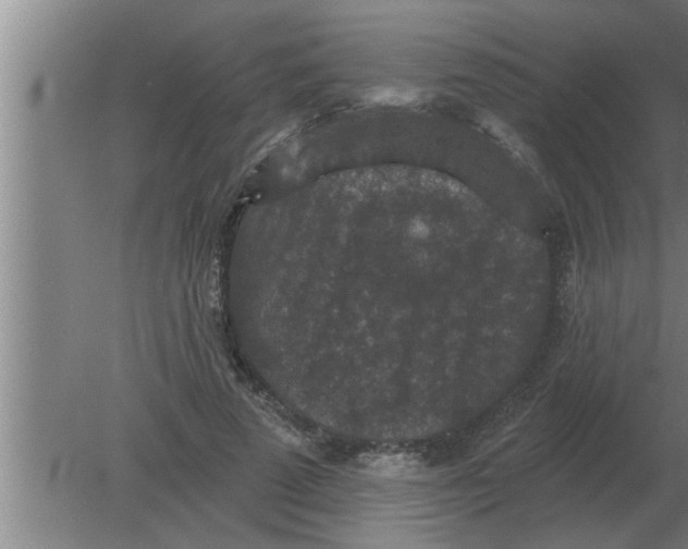 X0000080180689200612302245