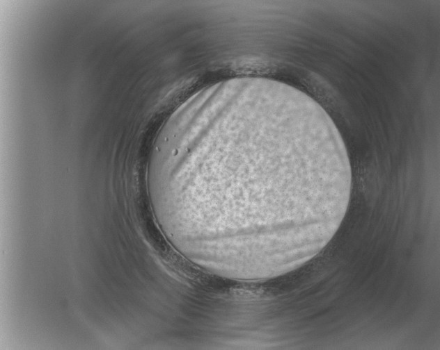 X0000080180690200612302245