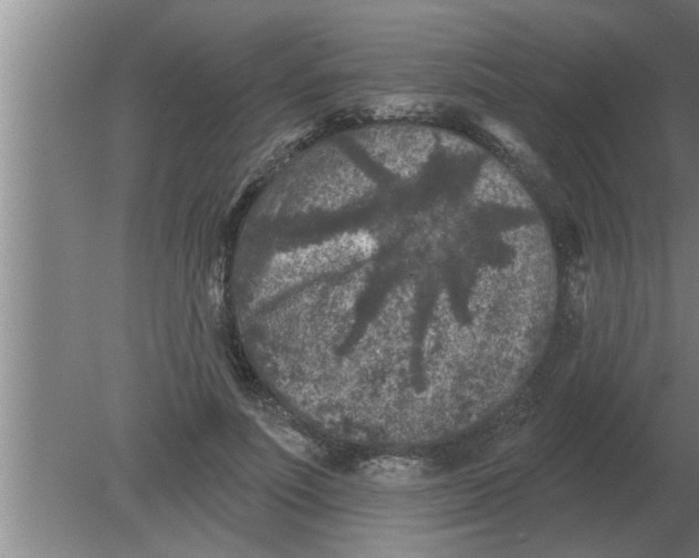 X0000080180691200612302245