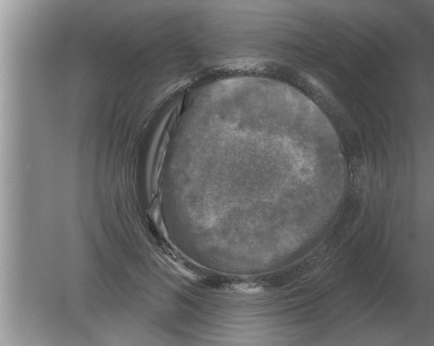 X0000080180692200612302245