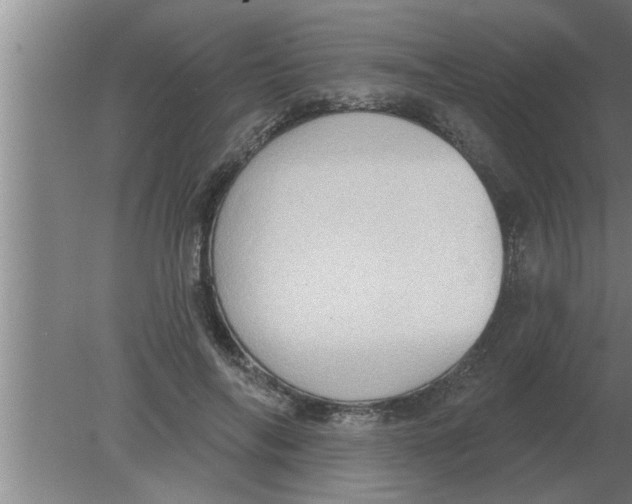 X0000080180694200612302245