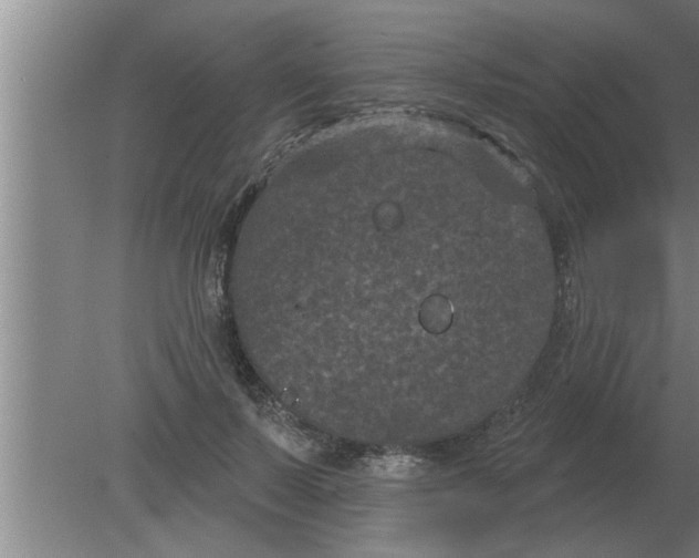 X0000080180695200612302245