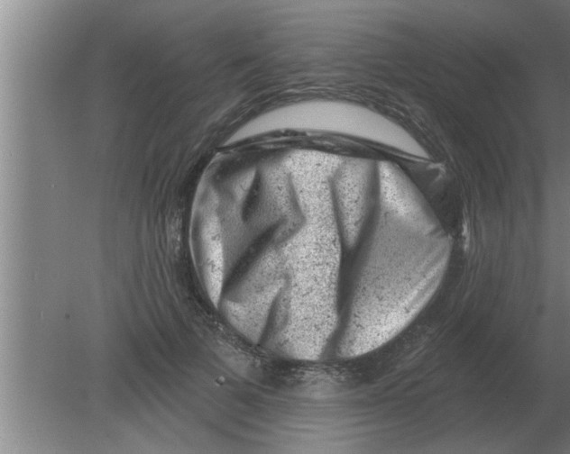 X0000080180697200612302245