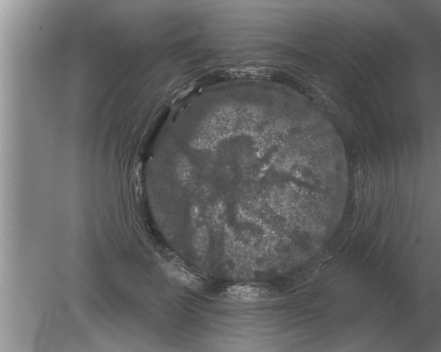 X0000080180699200612302245