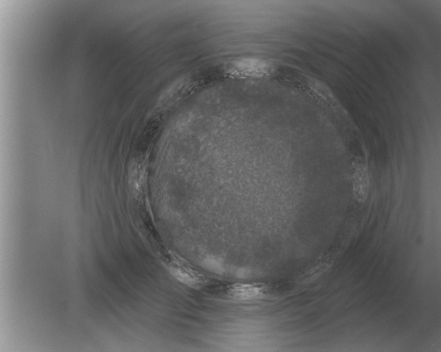 X0000080180701200612302245