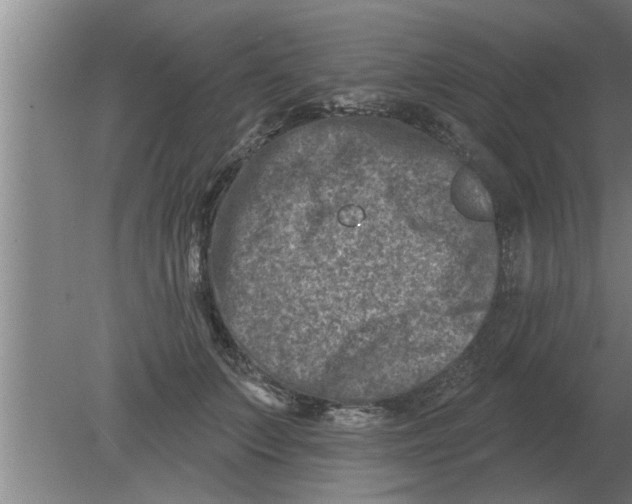 X0000080180703200612302245