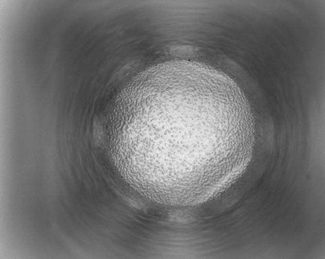 X0000080180705200612302245