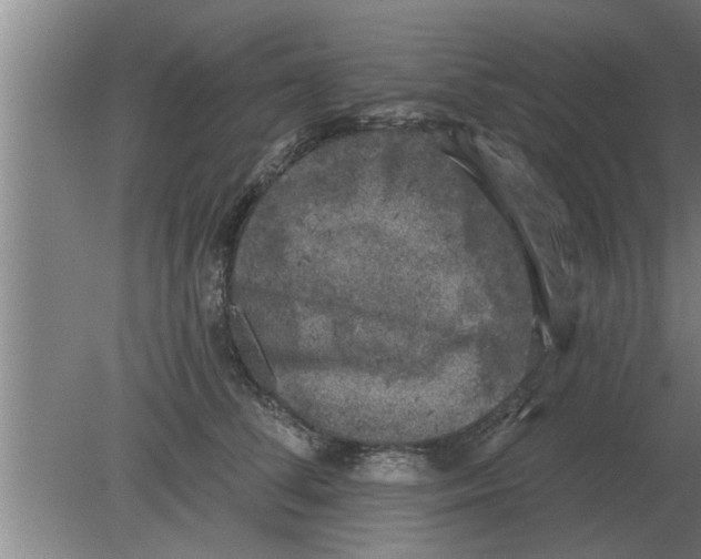 X0000080180708200612302245