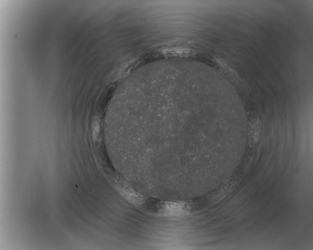 X0000080180709200612302245