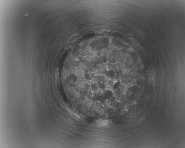 X0000080180711200612302245