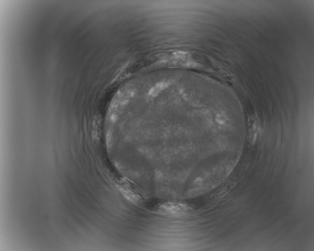 X0000080180712200612302245