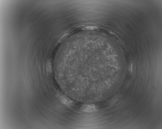 X0000080180715200612302245