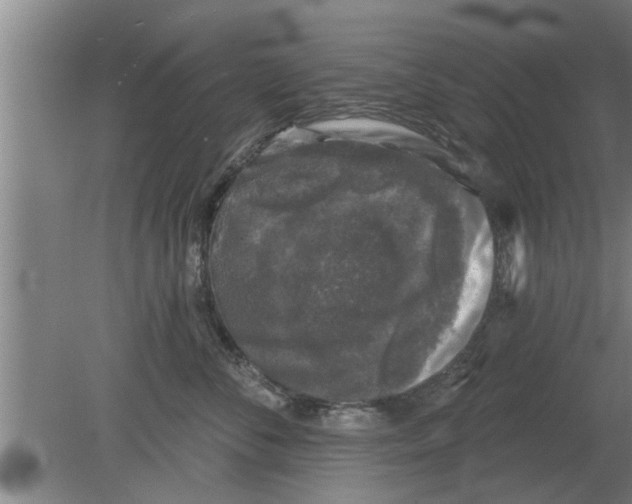 X0000080180716200612302245