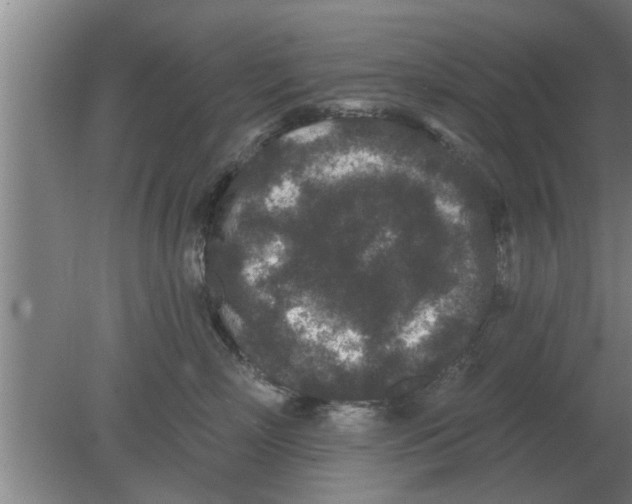 X0000080180718200612302245