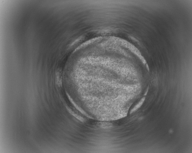 X0000080180719200612302245