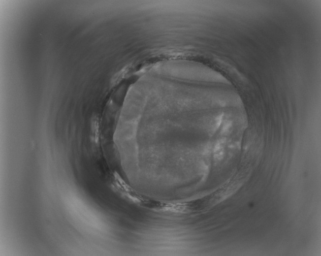 X0000080180720200612302245