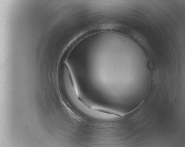 X0000080180722200612302244