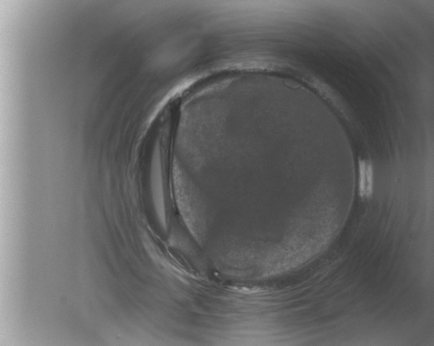 X0000080180723200612302244