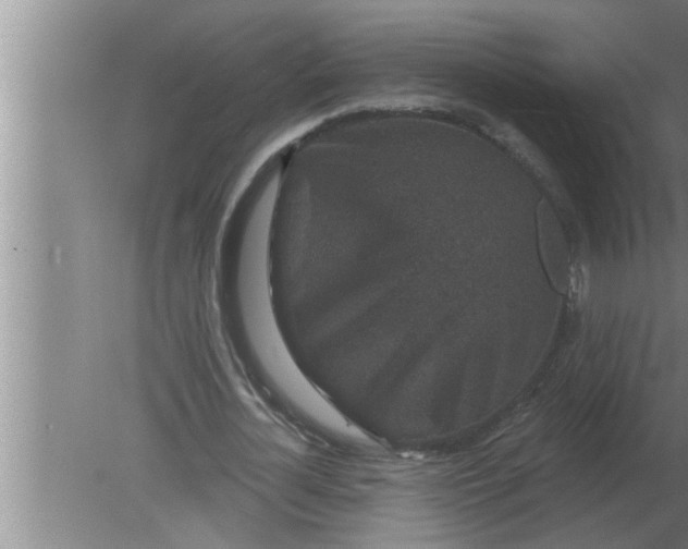 X0000080180724200612302244