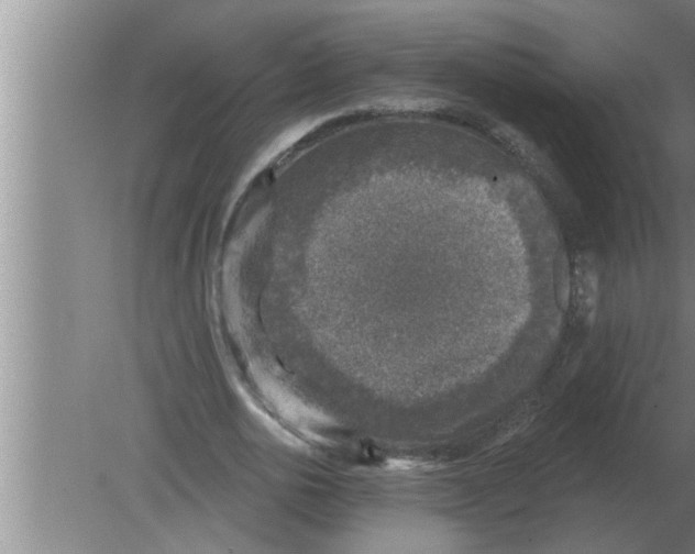 X0000080180726200612302244