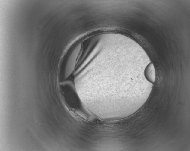 X0000080180728200612302244