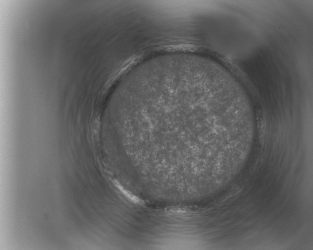 X0000080180729200612302244