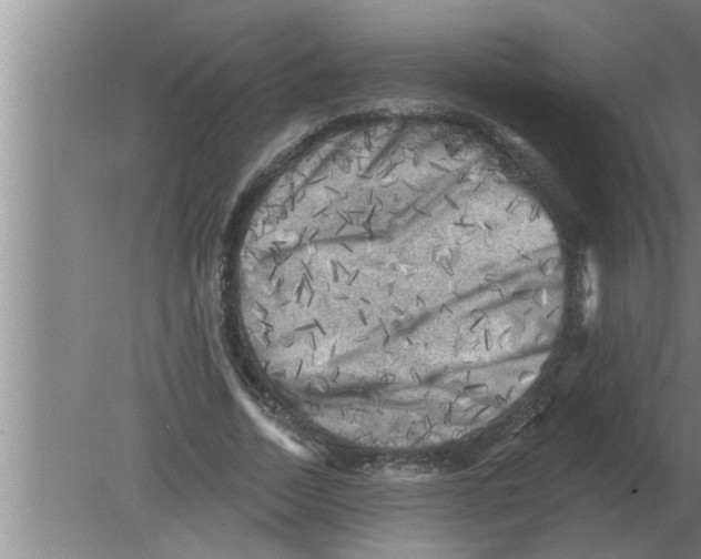 X0000080180730200612302244