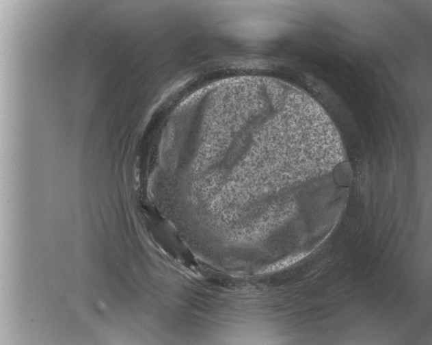 X0000080180731200612302244